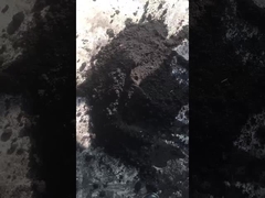 Máy chế tạo hạt thức ăn bò